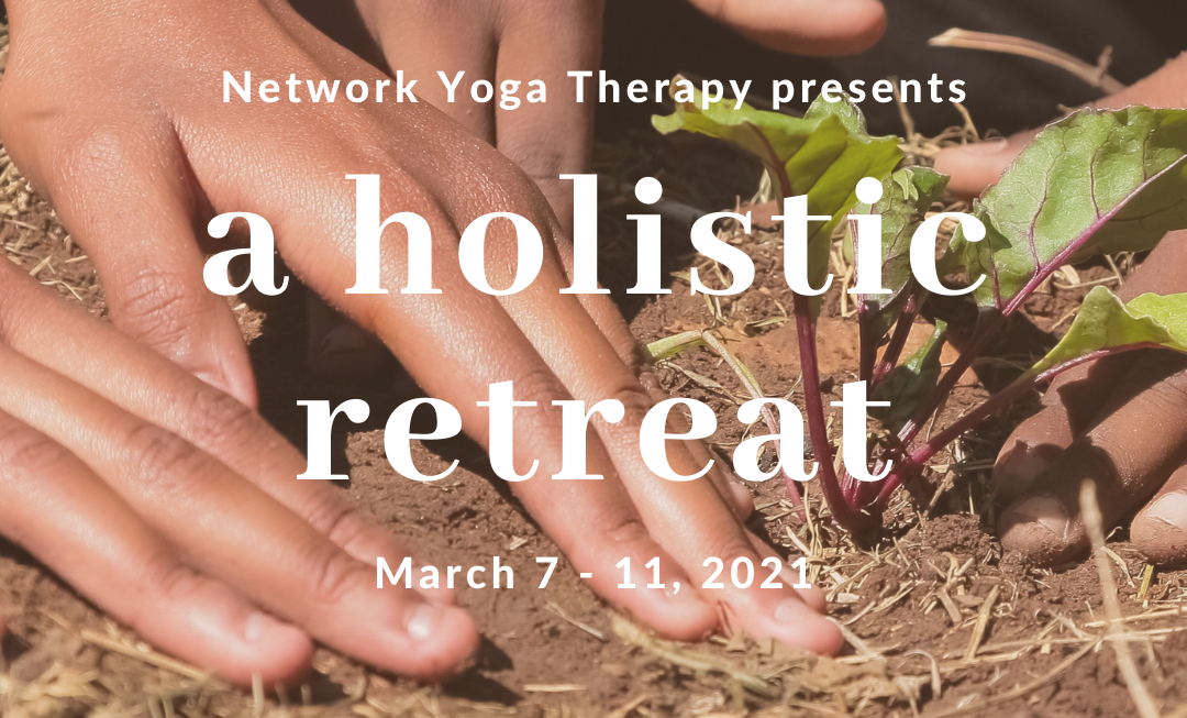 What is Yoga Therapy?  Holistic Yoga Therapy