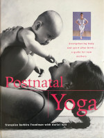 Postnatal Yoga book by Francoise Freedman
