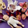 Perinatal Yoga For Maternity Professionals - Image 3