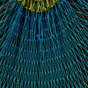 Yoga for a healthy Pelvic Floor through Women's Lifecycles