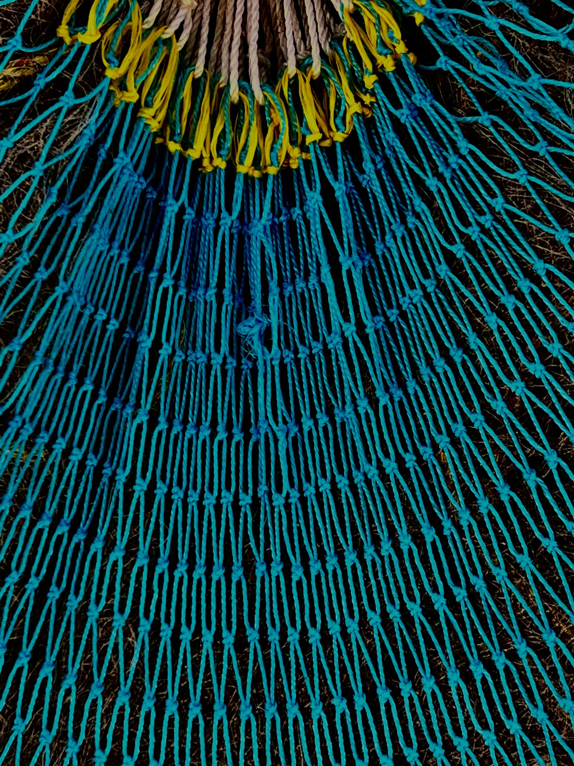 Yoga for a healthy Pelvic Floor through Women's Lifecycles