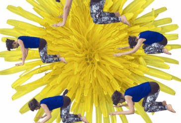 Featured Birthlight Practice: Rolling Cat